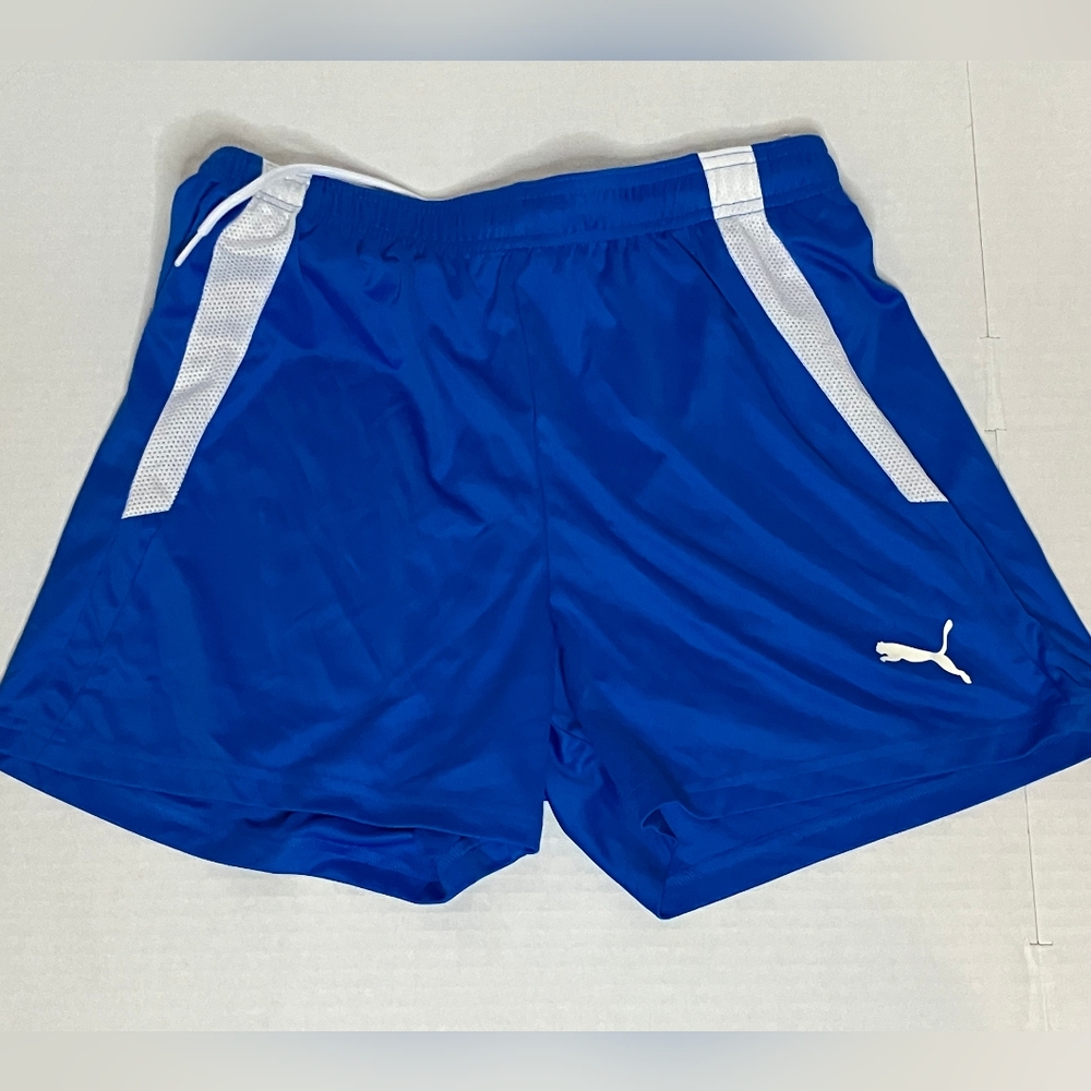 Puma Men’s Royal Blue Athletic Shorts with White Accents